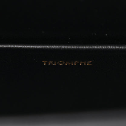 Celine Shiny Calfskin Triomphe Chain Box Bag Black 7 of 11