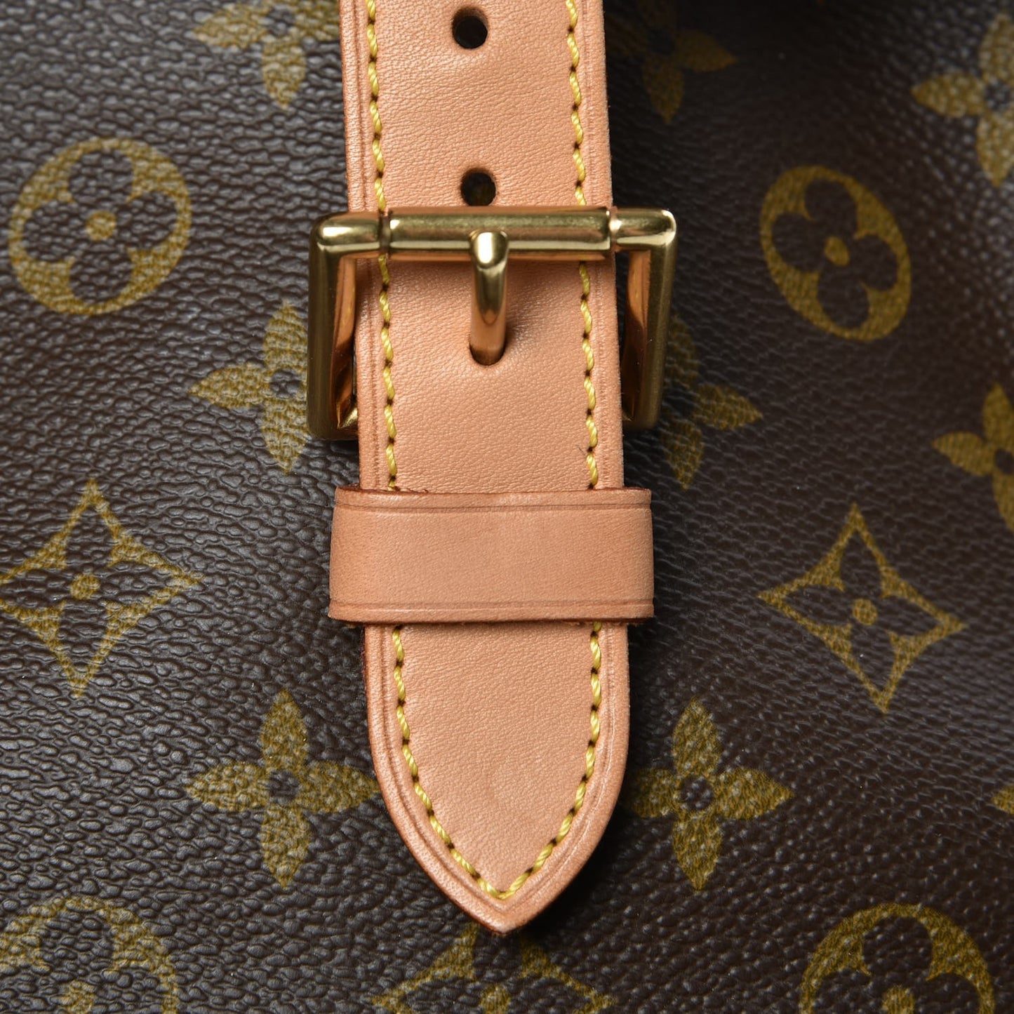 Monogram Montsouris GM Backpack