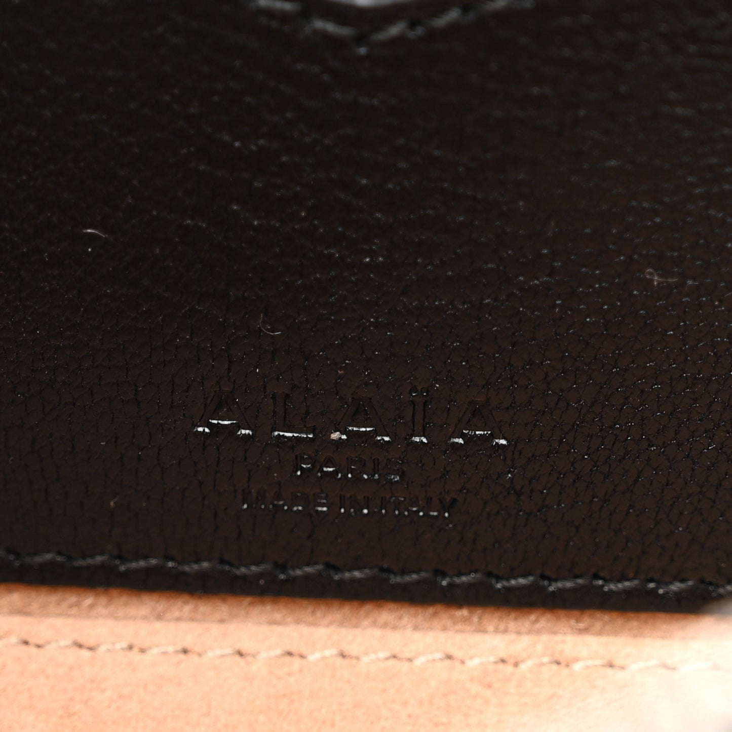 Goatskin Small Le Teckel Bag Black