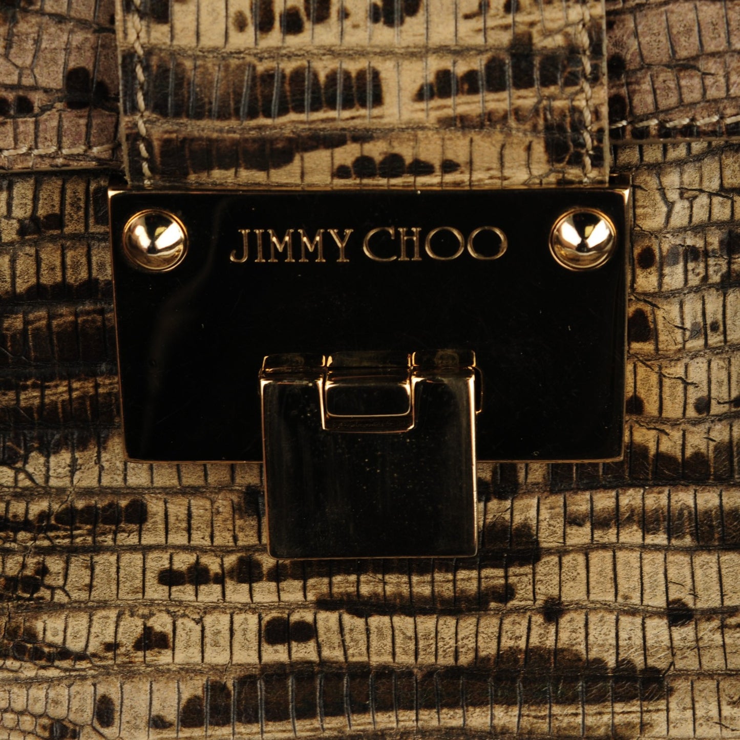 Lizard Embossed Large Rosalie Satchel