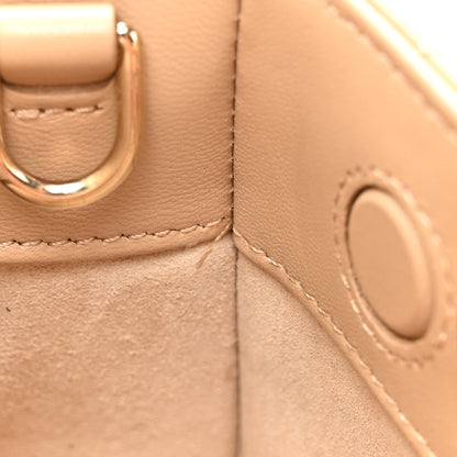 Christian Dior Lambskin Cannage Small Lady D-Joy Biscuit 11 of 14