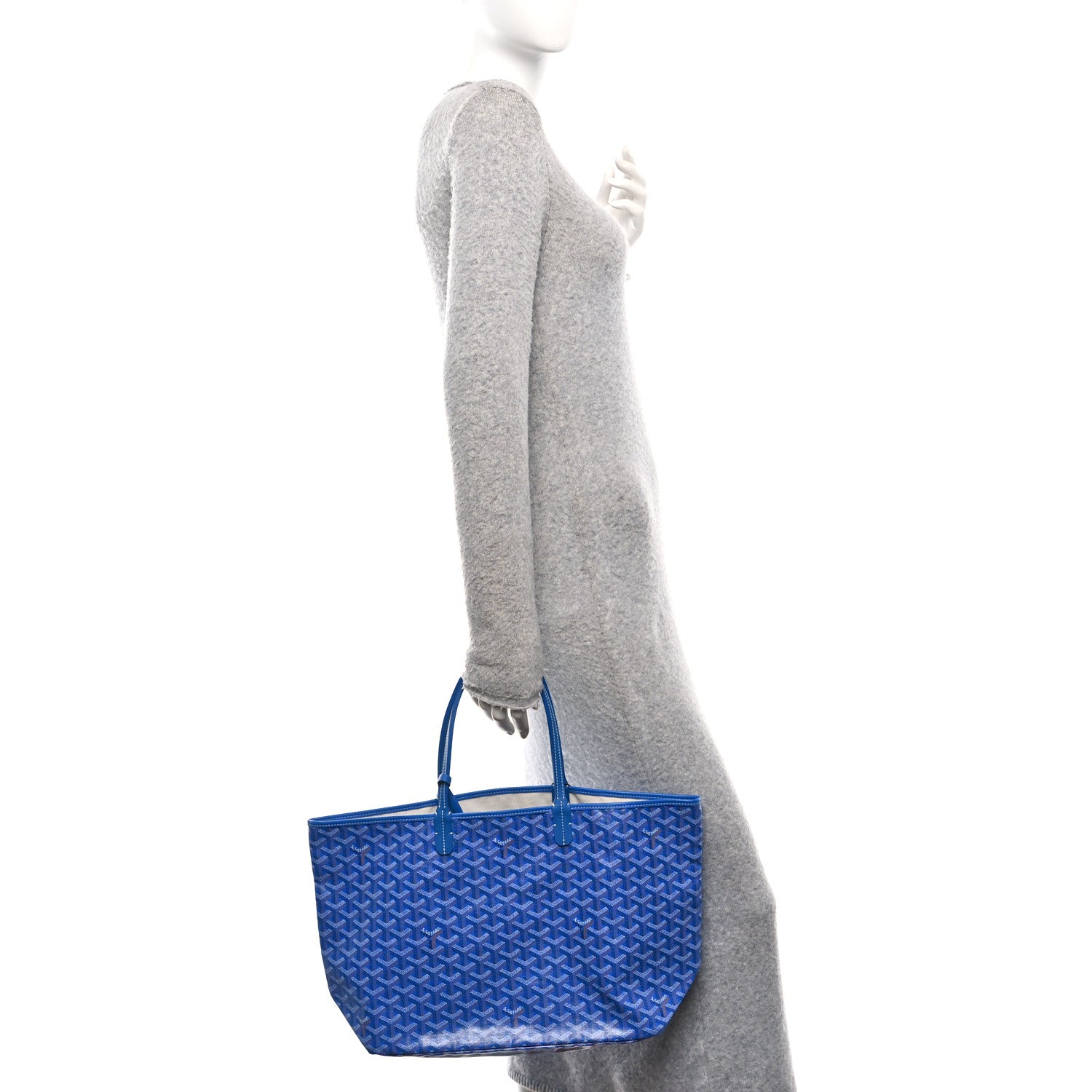 Goyard Goyardine Saint Louis PM Sky Blue 2 of 10