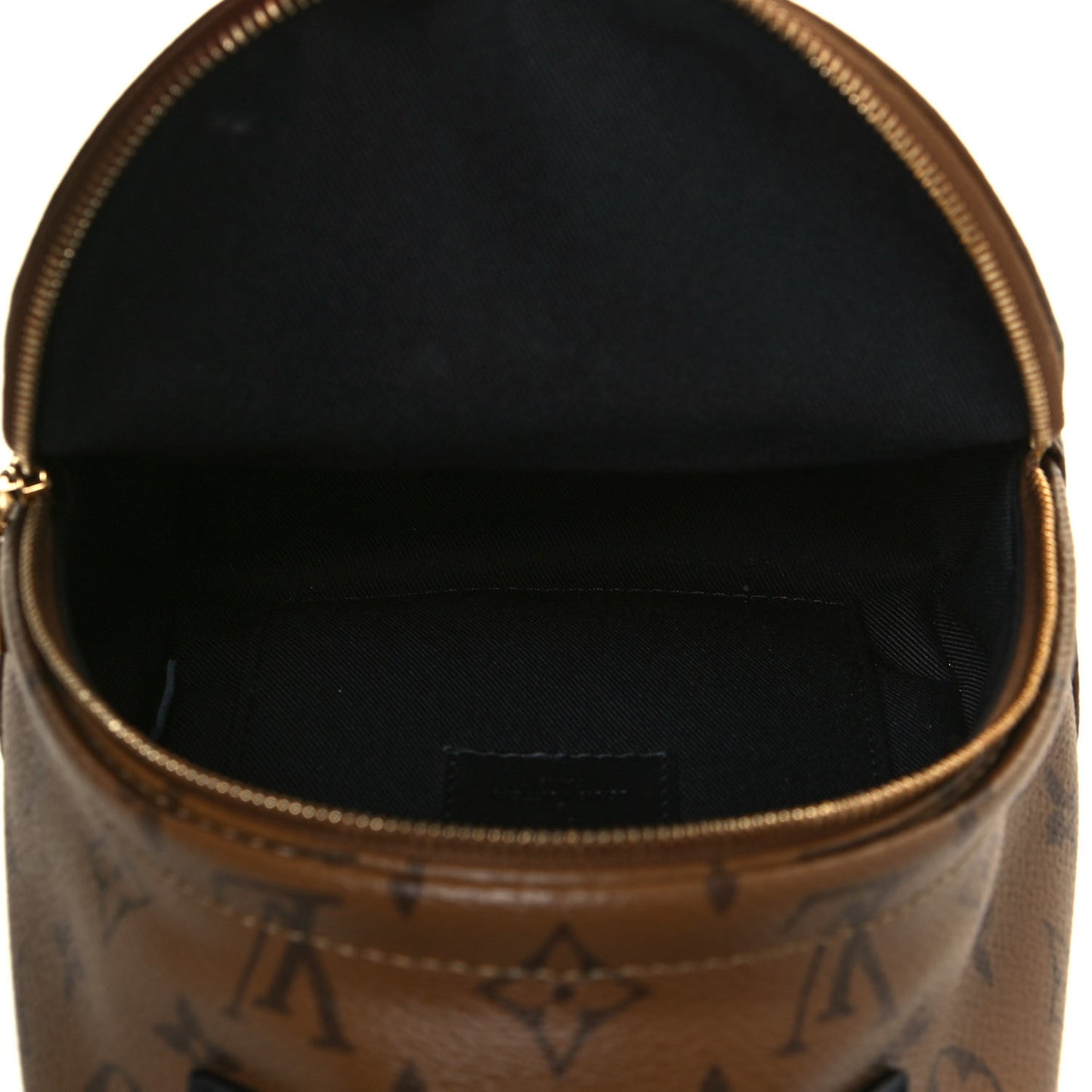 Reverse Monogram Palm Springs Backpack Mini