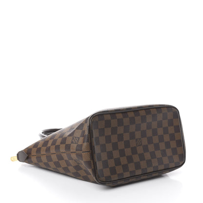 Louis Vuitton Damier Ebene Saleya PM 3 of 7