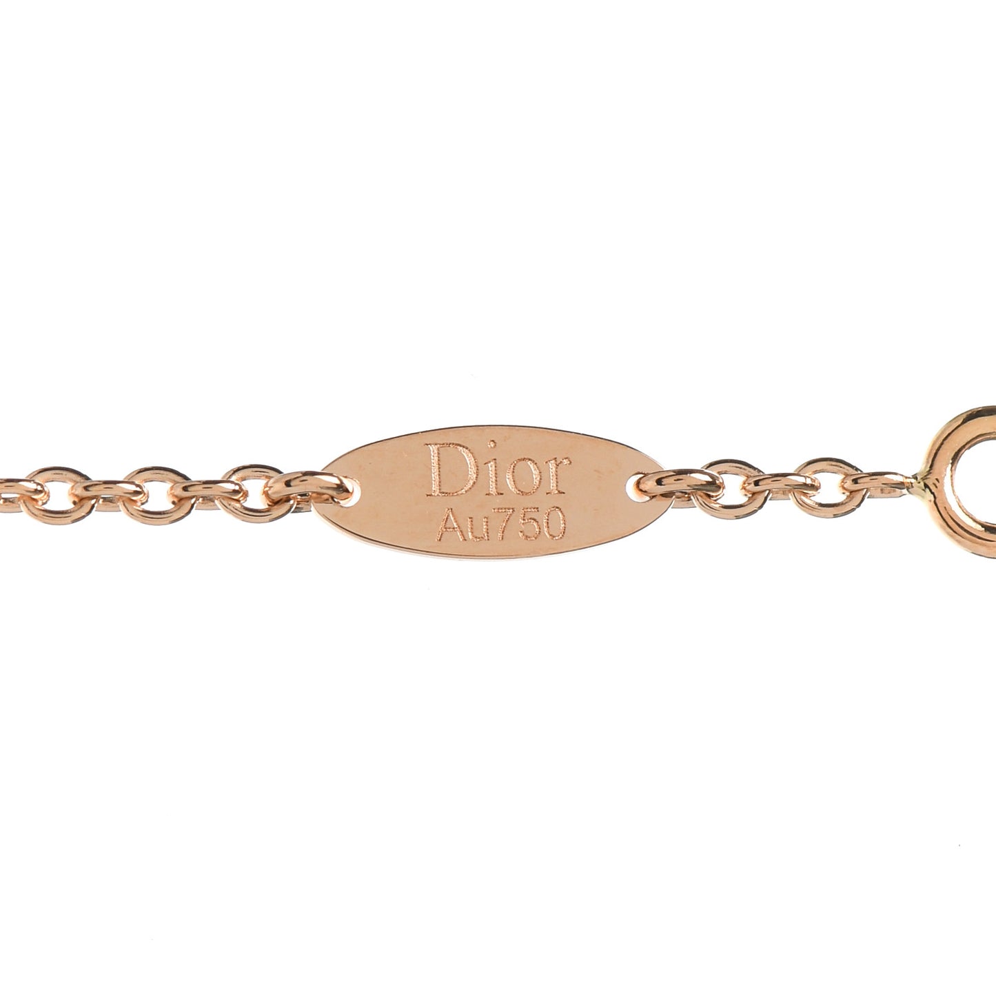 18K Rose Gold Ruby Mother of Pearl Rose Des Vents Necklace