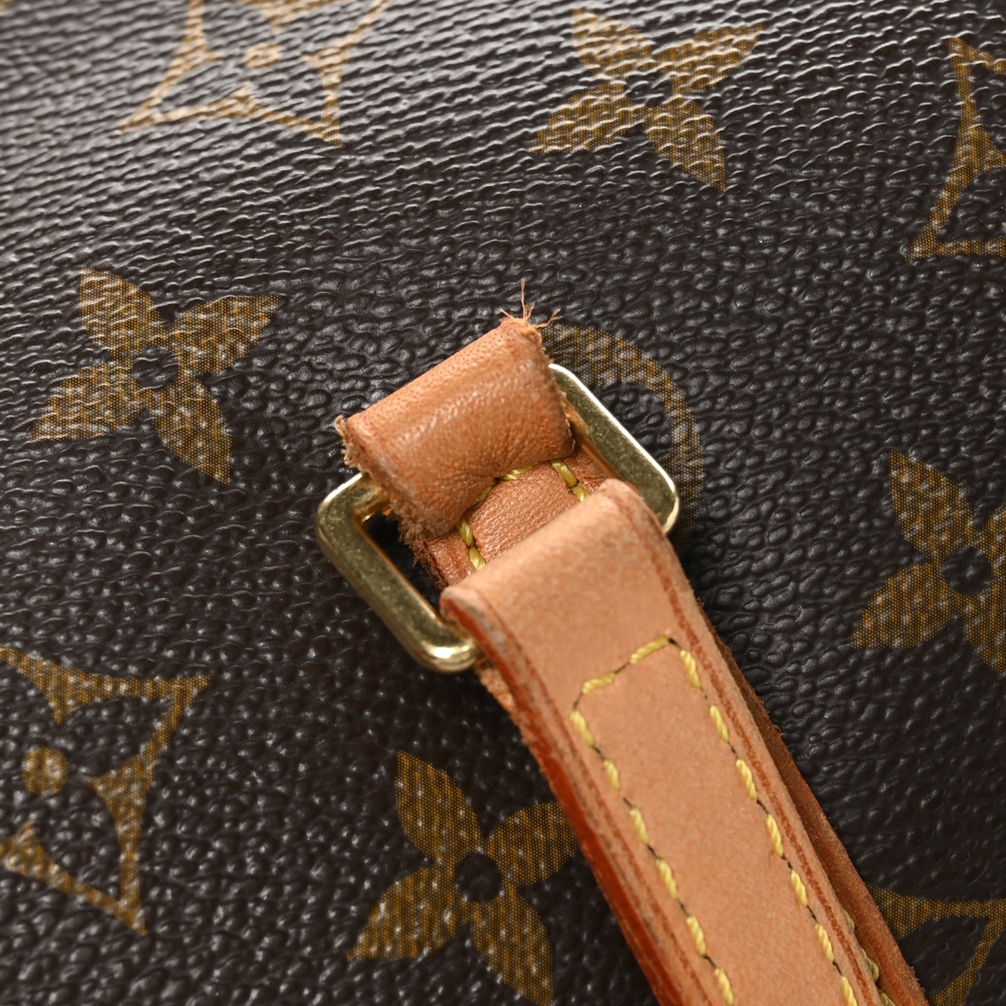 Monogram Papillon 30 with Companion