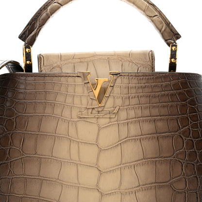 Louis Vuitton Alligator Capucines BB 8 of 10