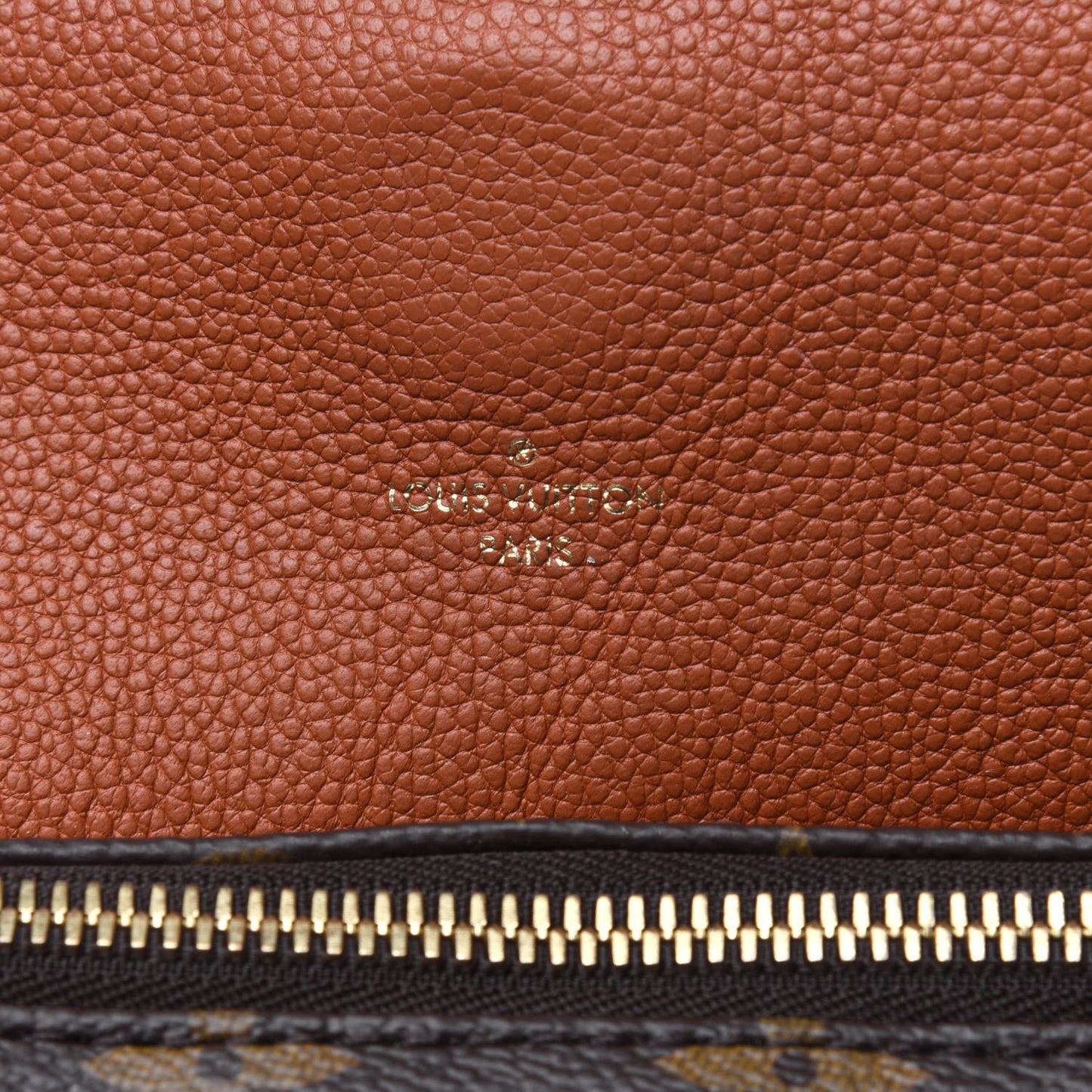 Monogram Manhattan NM Caramel
