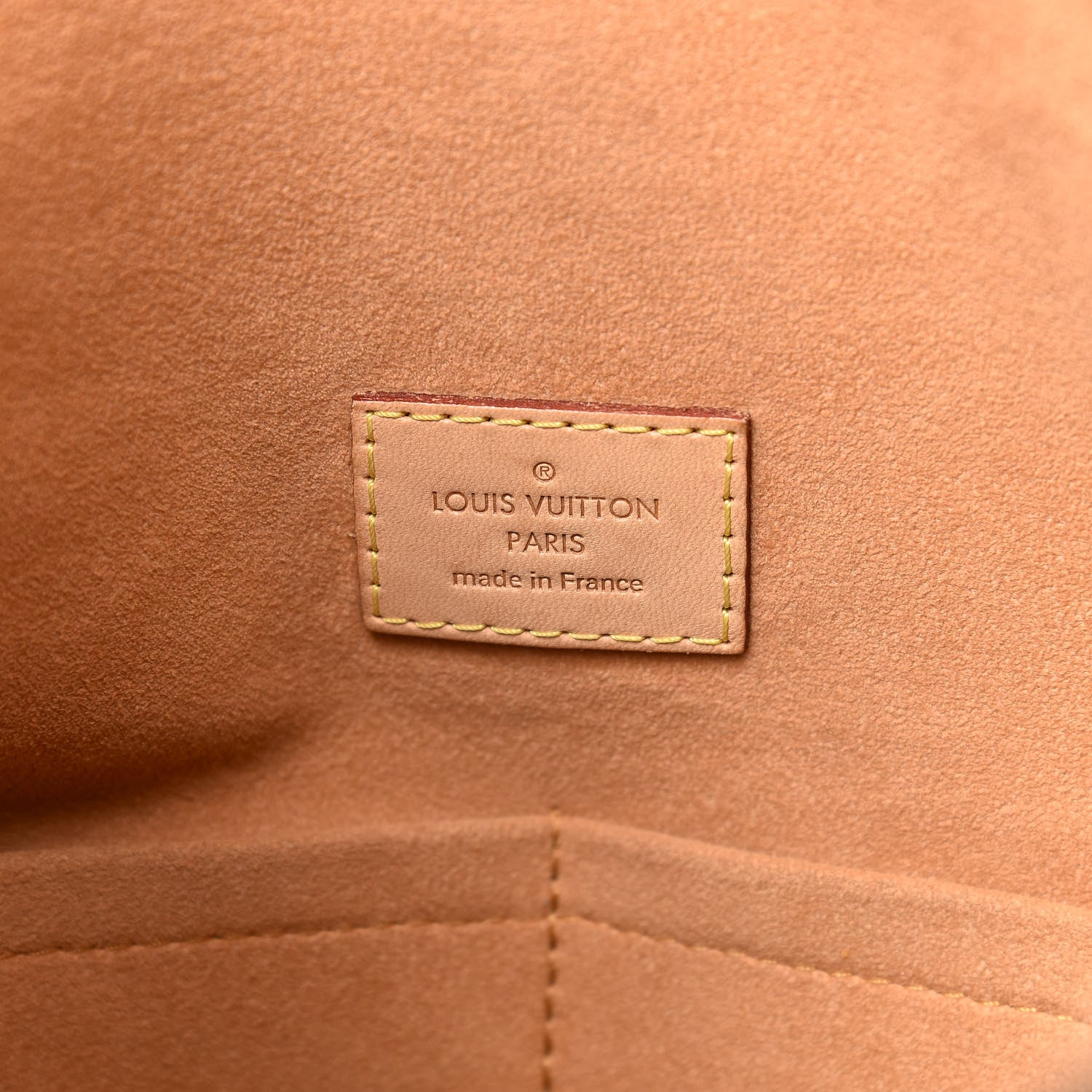 Louis Vuitton Monogram Gaia Epice 6 of 13