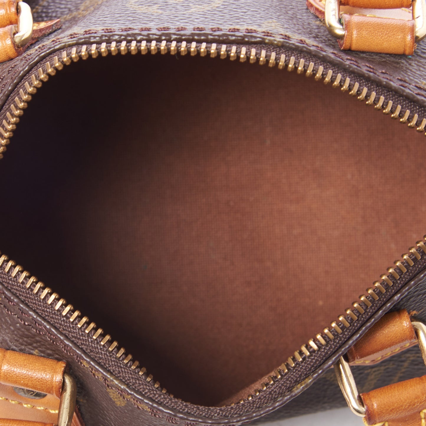Monogram Mini Sac HL Speedy