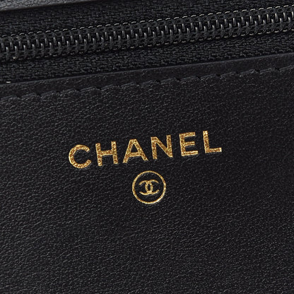 Chanel Goatskin Quilted Chanel 19 Wallet On Chain WOC Black 6 of 10
