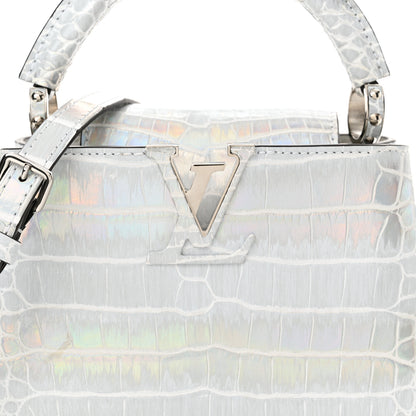 Louis Vuitton Alligator Mini Capucines Silver 7 of 10
