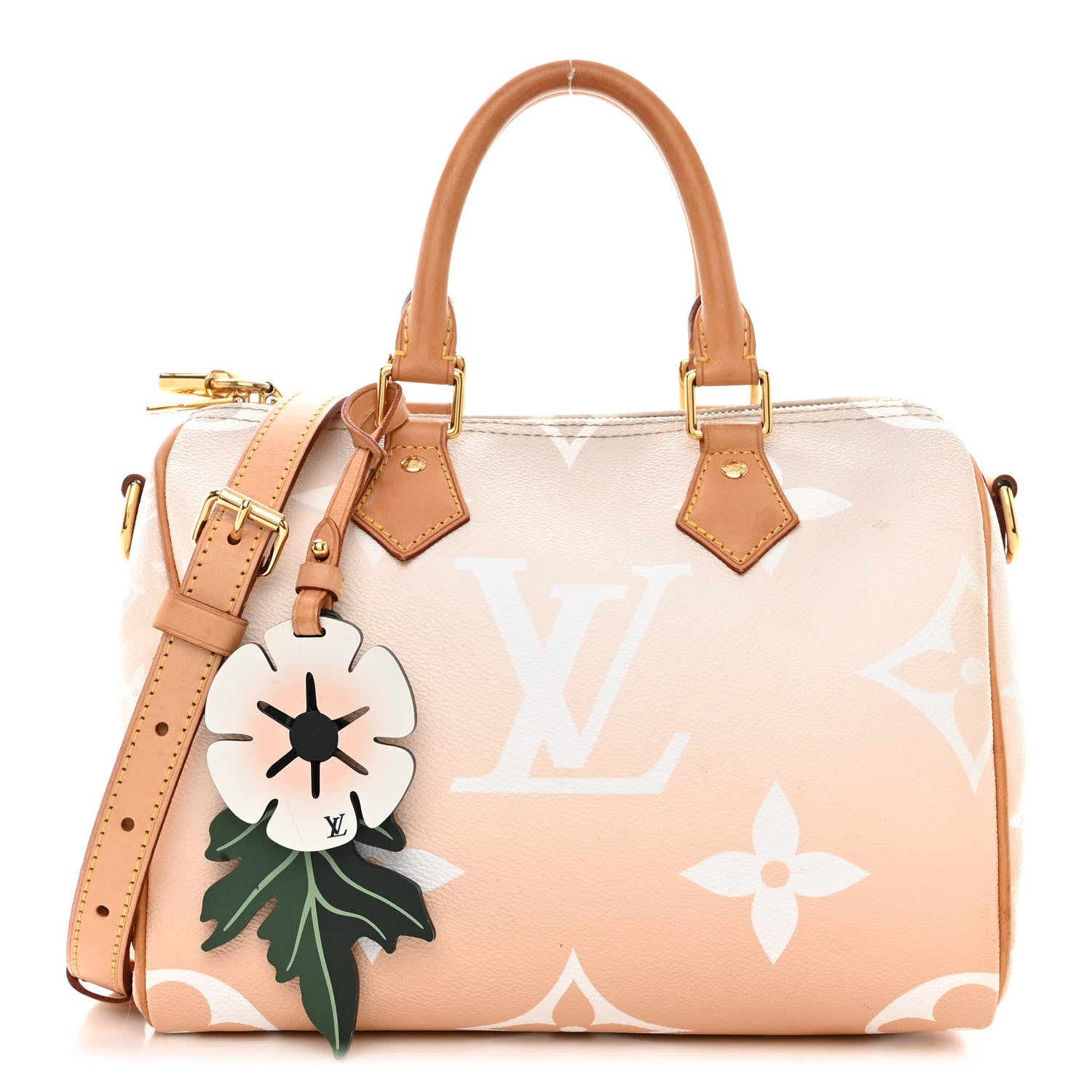 Louis Vuitton Monogram Giant By The Pool Speedy Bandouliere 25 Brume 1 of 19