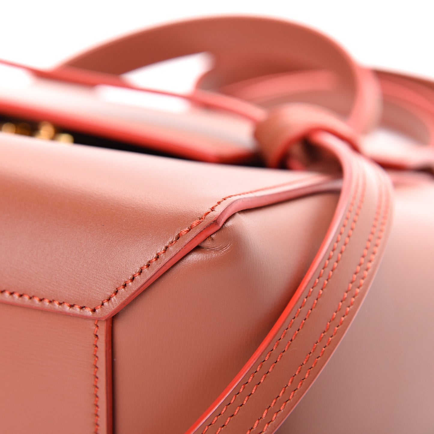 Smooth Calfskin Mini Belt Bag Terracotta