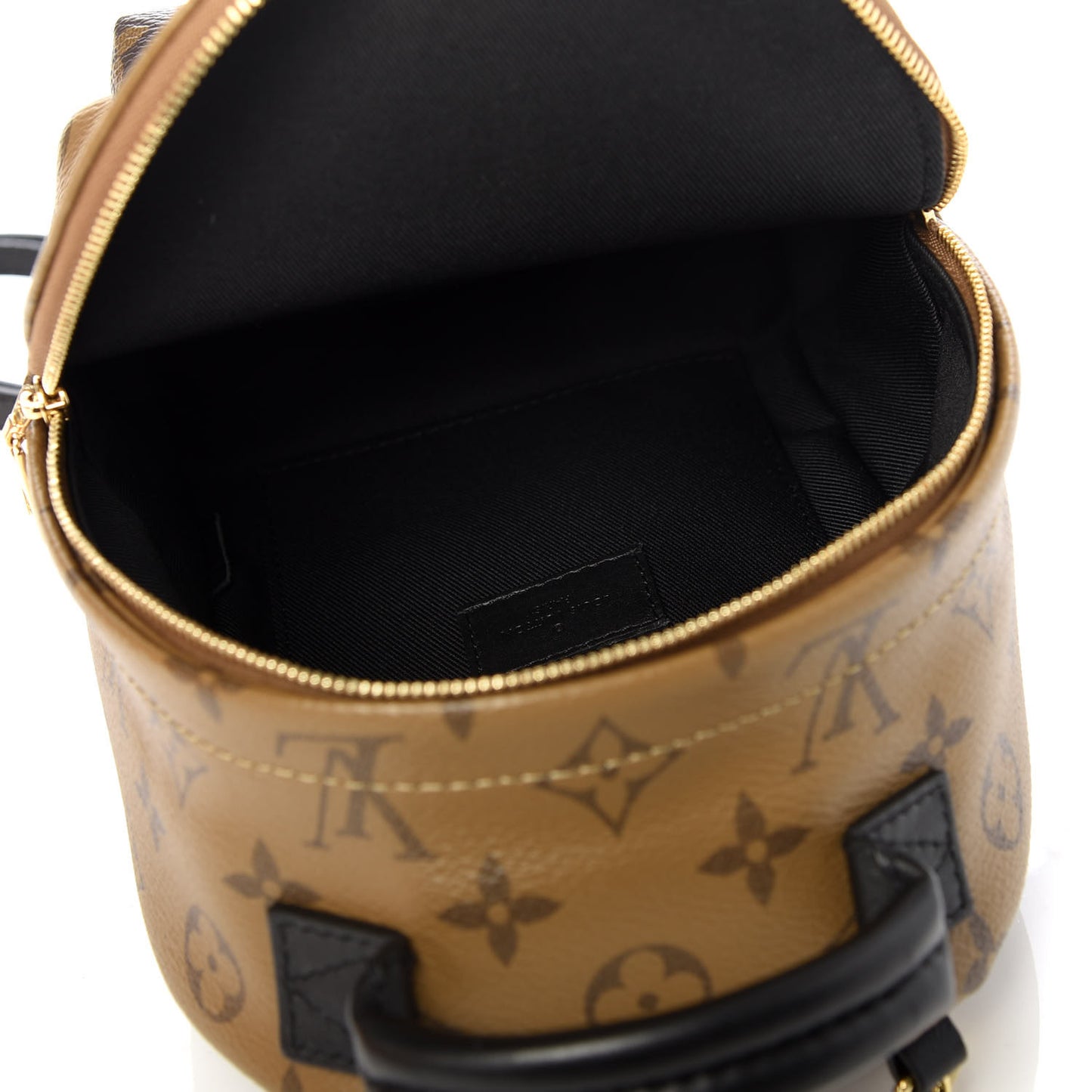 Reverse Monogram Palm Springs Backpack Mini