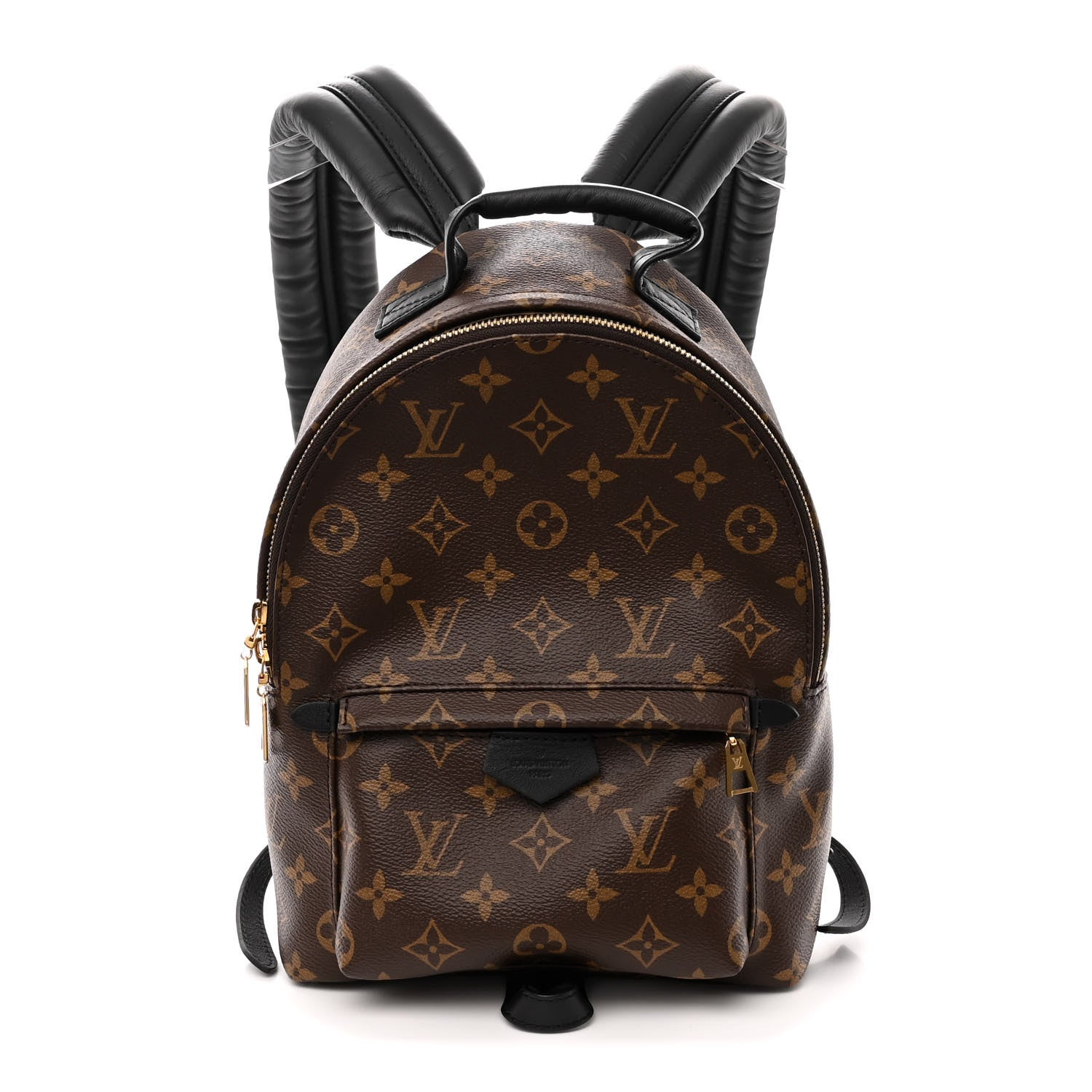 Louis Vuitton Monogram Palm Springs Backpack PM 1 of 11