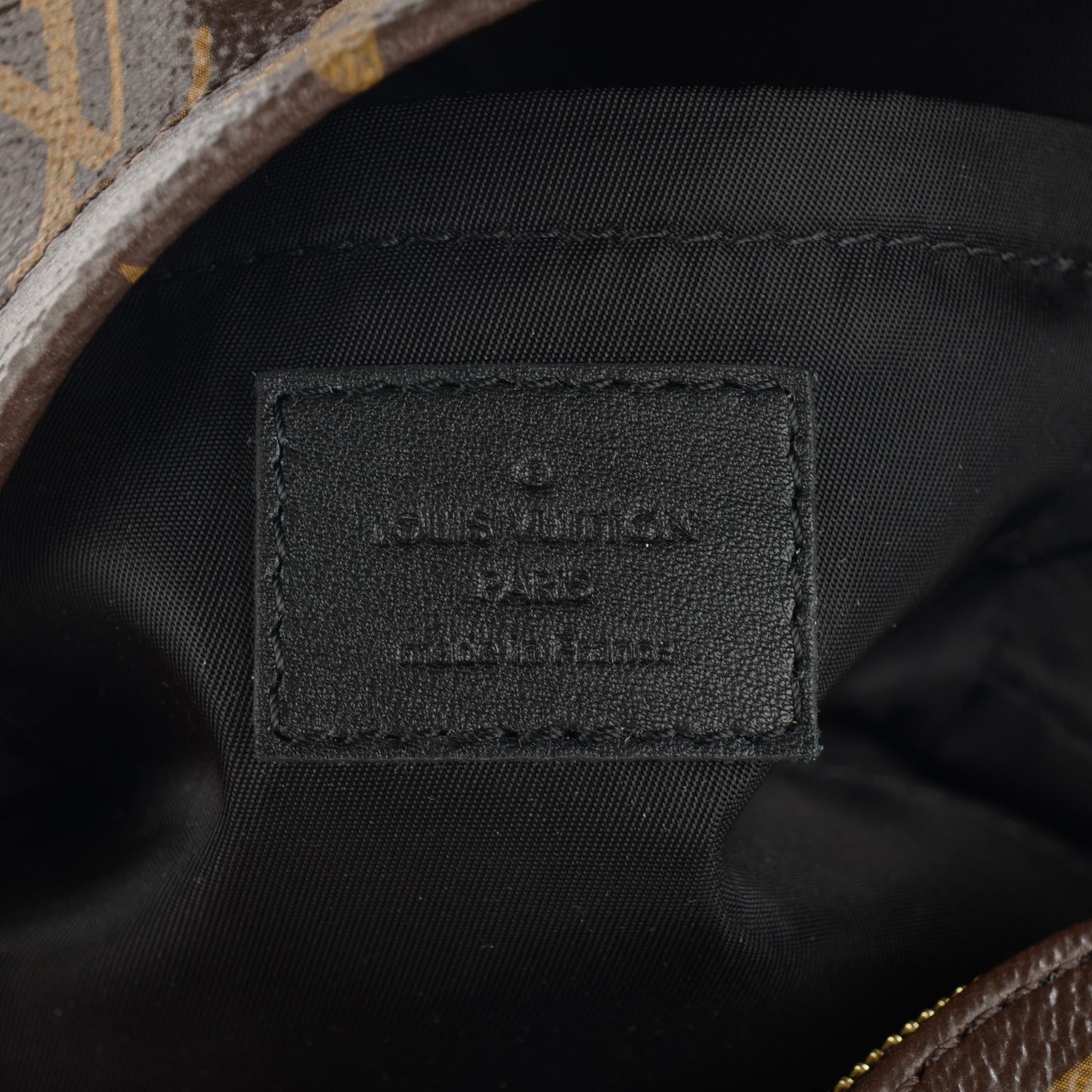 Monogram Palm Springs Backpack Mini