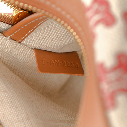 Celine Triomphe Canvas Small Camera Bag Fox Red 7 of 10