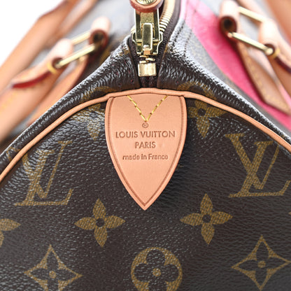 Louis Vuitton Monogram Speedy 30 V Grenade 6 of 10