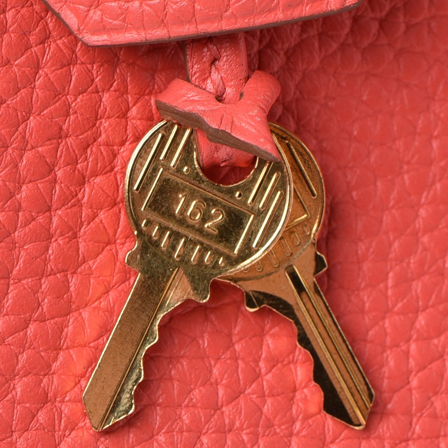 Taurillon Clemence Kelly Retourne 28 Rose Jaipur