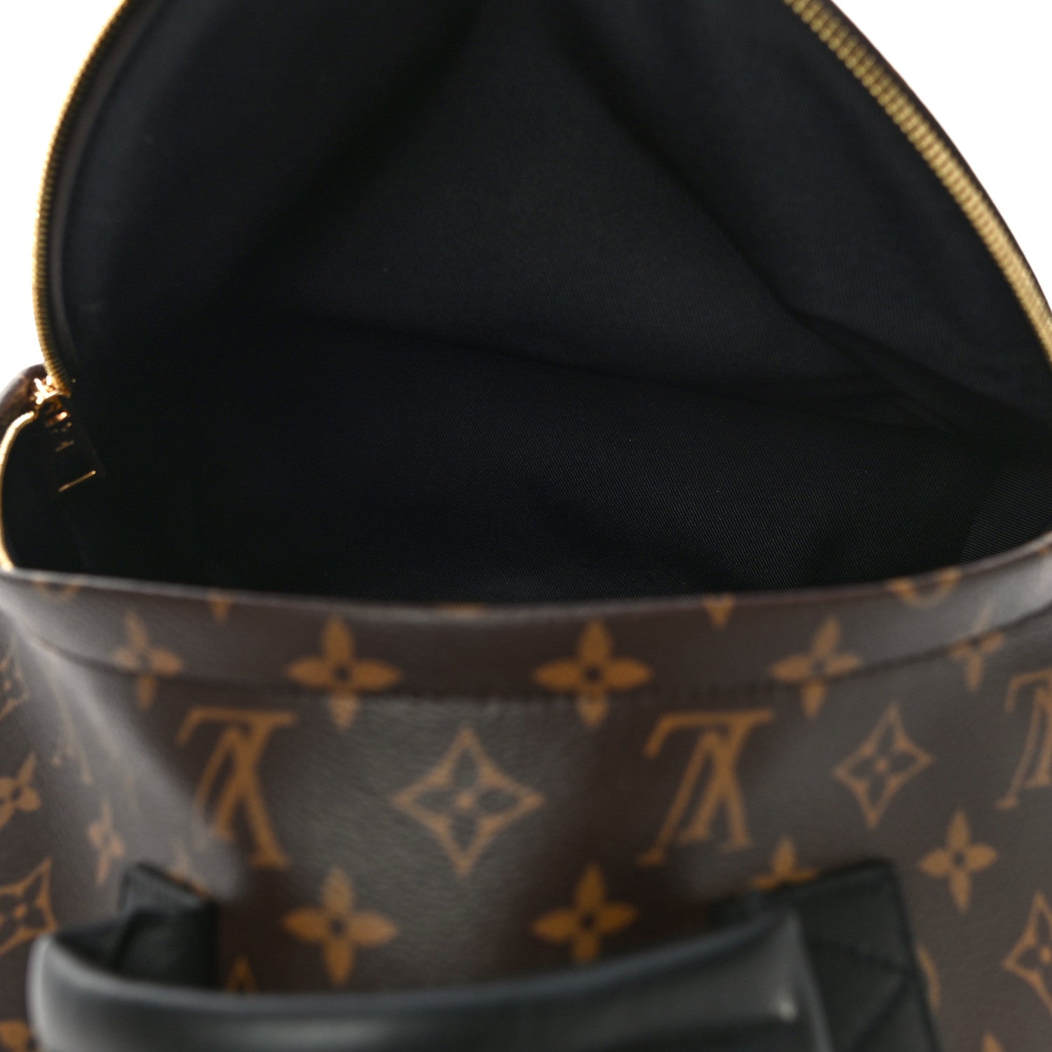 Louis Vuitton Monogram Palm Springs Backpack MM 5 of 11
