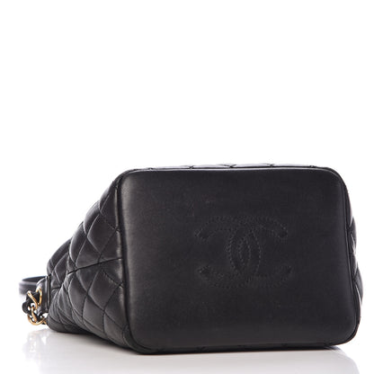 Chanel Lambskin Quilted Small Hobo Black 4 of 20
