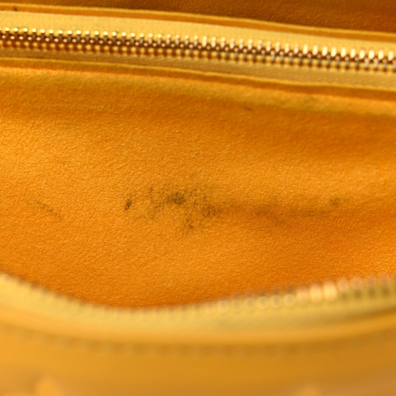 Louis Vuitton Lambskin Embossed Monogram Coussin PM Sunflower 5 of 11