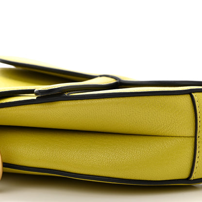 Christian Dior Goatskin Mini Saddle Bag Lime 10 of 10