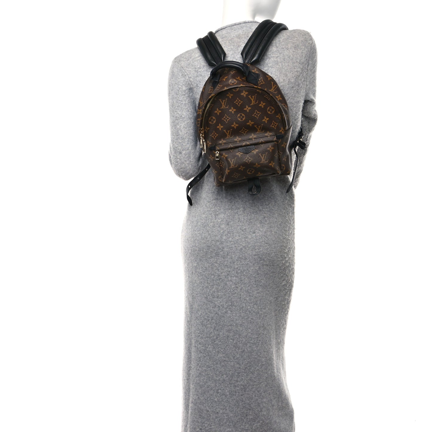 Monogram Palm Springs Backpack PM