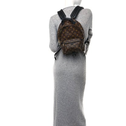 Louis Vuitton Monogram Palm Springs Backpack PM 3 of 10