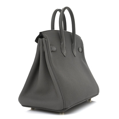 Hermes Togo Birkin 25 Etain 3 of 11