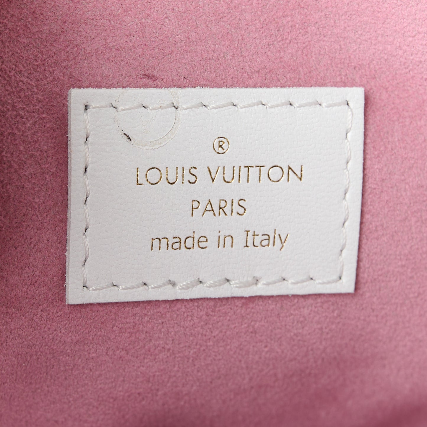 Lambskin Embossed Monogram LV Garden Coussin PM Cream