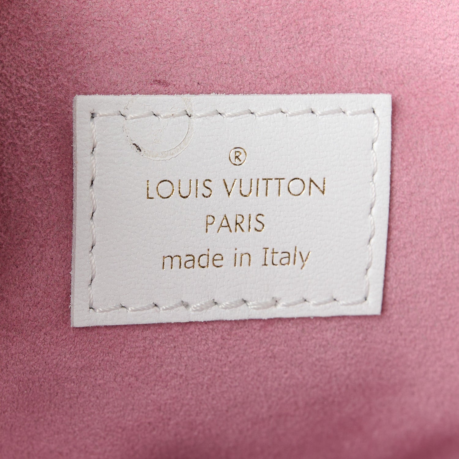 Louis Vuitton Lambskin Embossed Monogram LV Garden Coussin PM Cream 8 of 11
