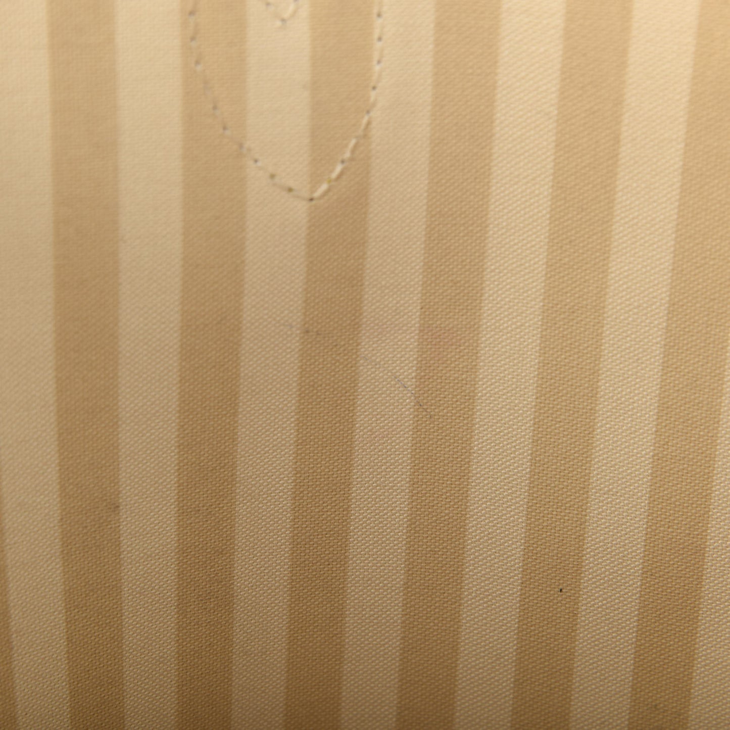 Monogram Rayures Neverfull MM