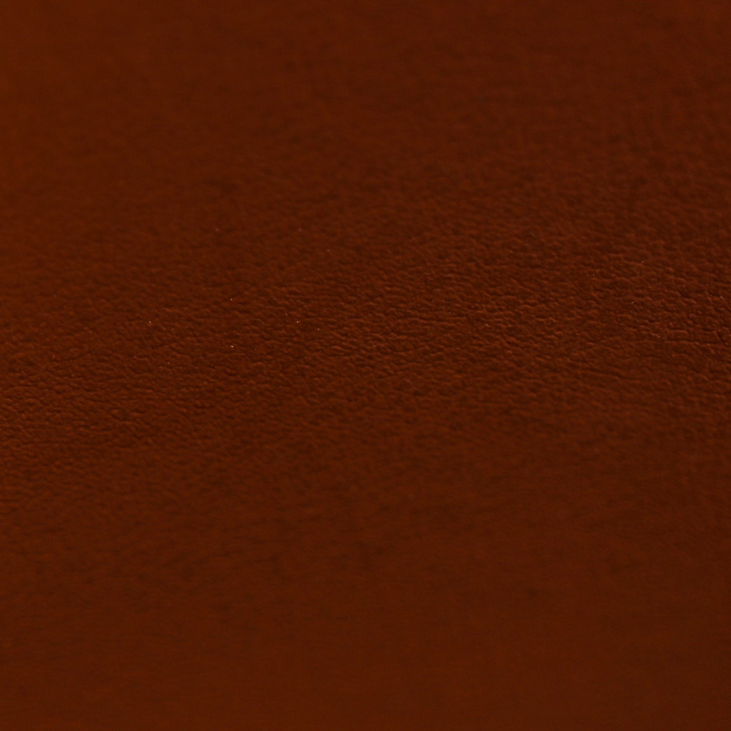 Monogram Victorine Wallet