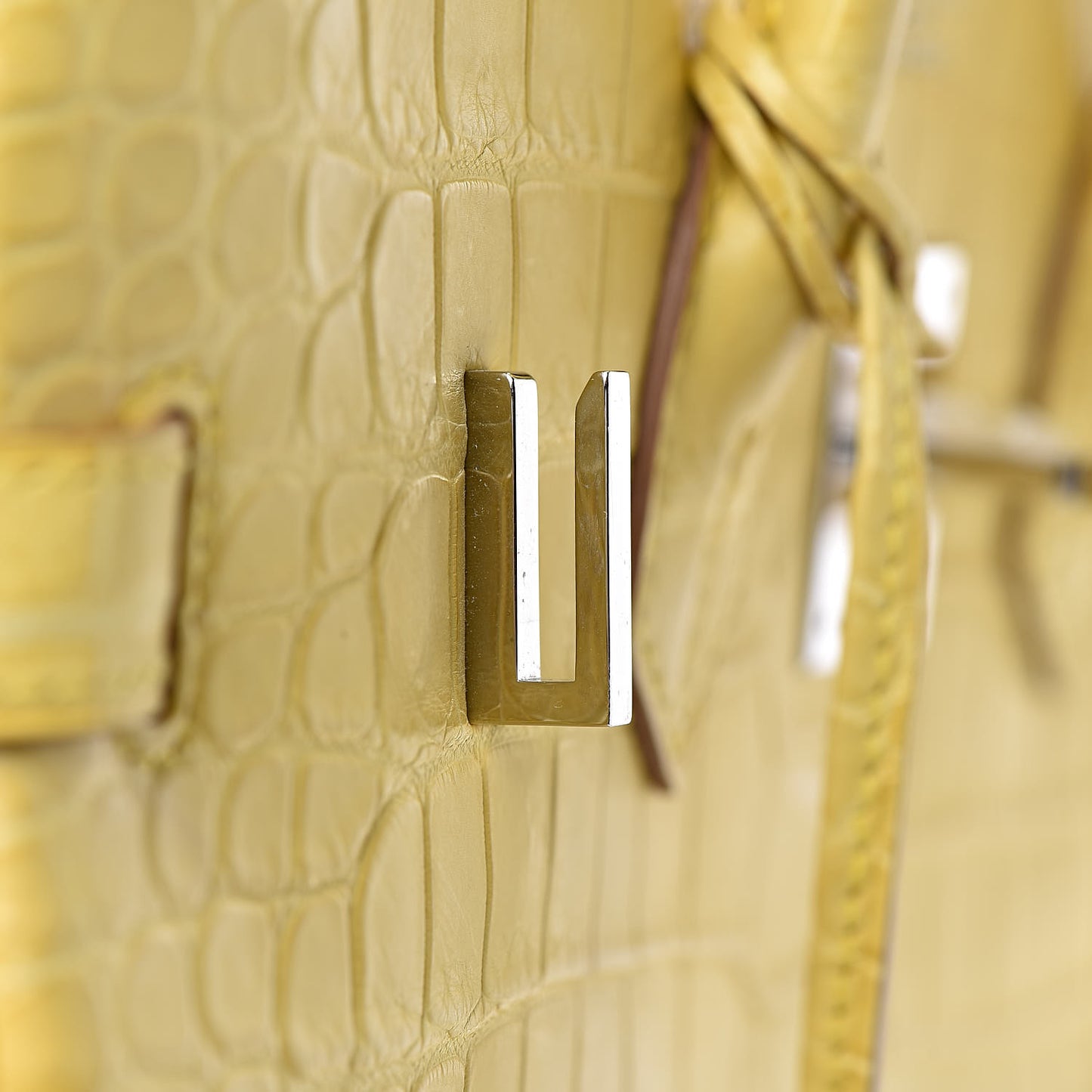 Matte Porosus Crocodile Birkin 35 Mimosa