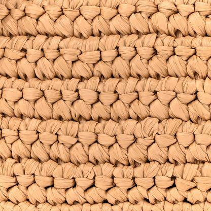 Saint Laurent Raffia Monogram Tassel Kate 99 Dark Nude 8 of 13