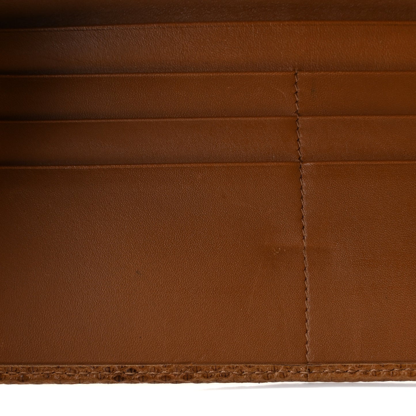 Lizard Wallet Brown