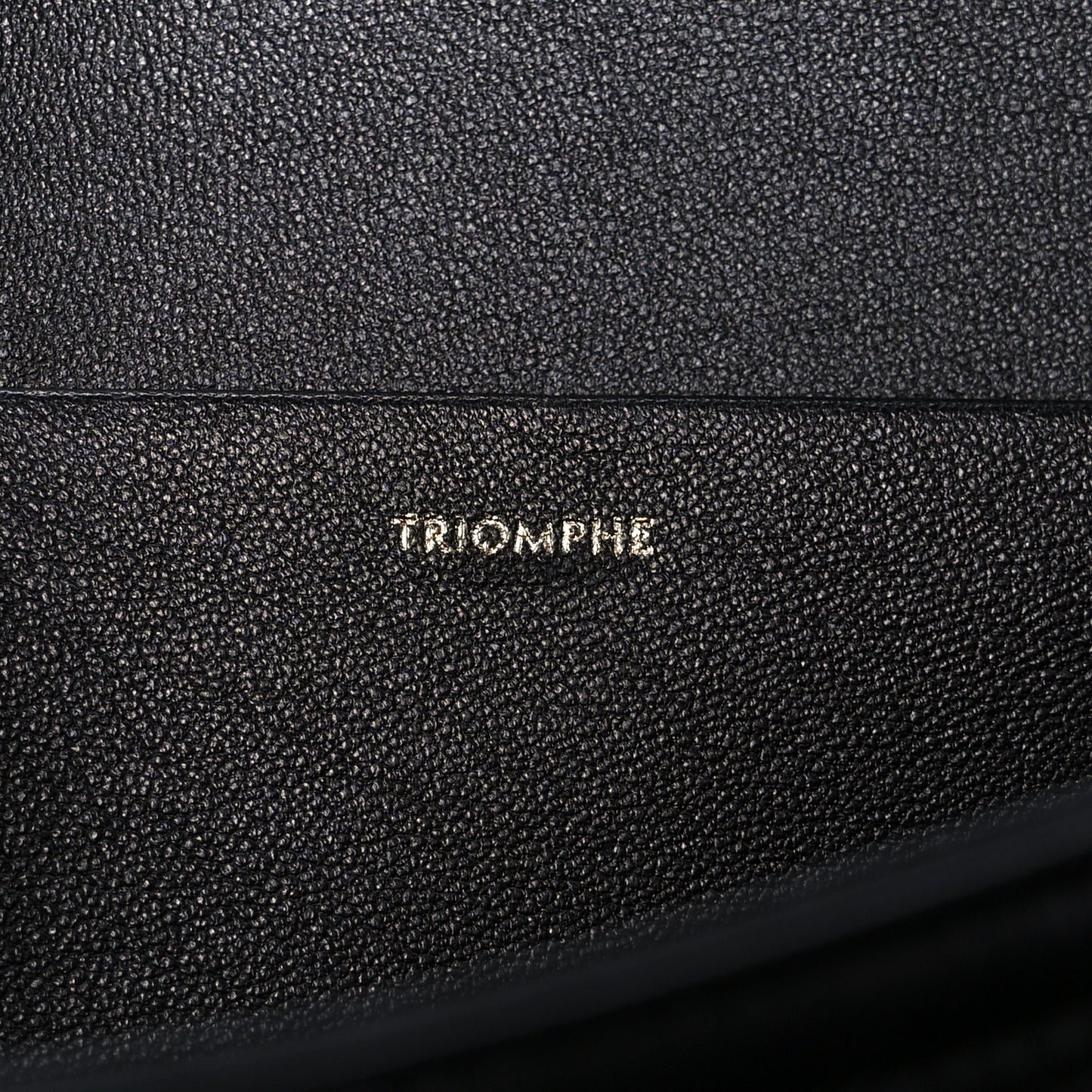 Shiny Calfskin Medium Triomphe Black