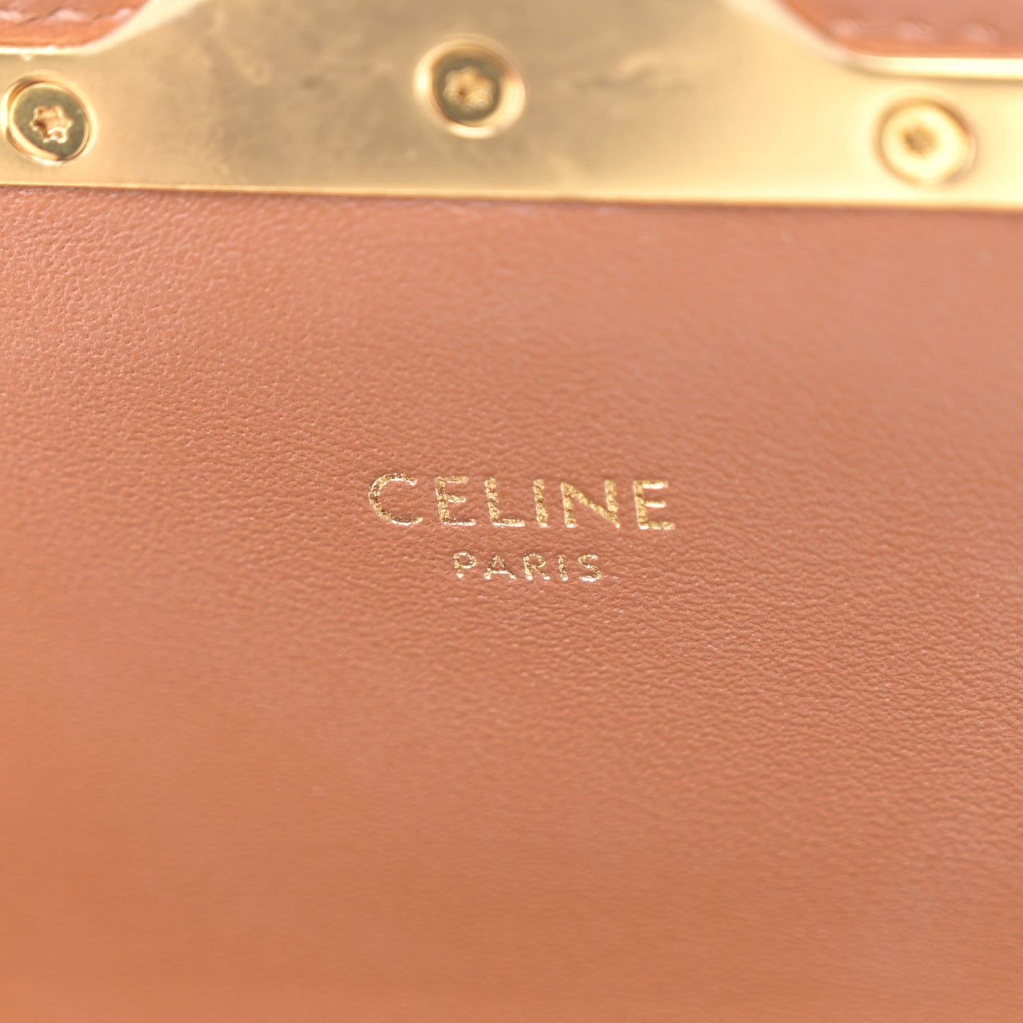 Calfskin Triomphe Canvas Teen Triomphe Bag Tan