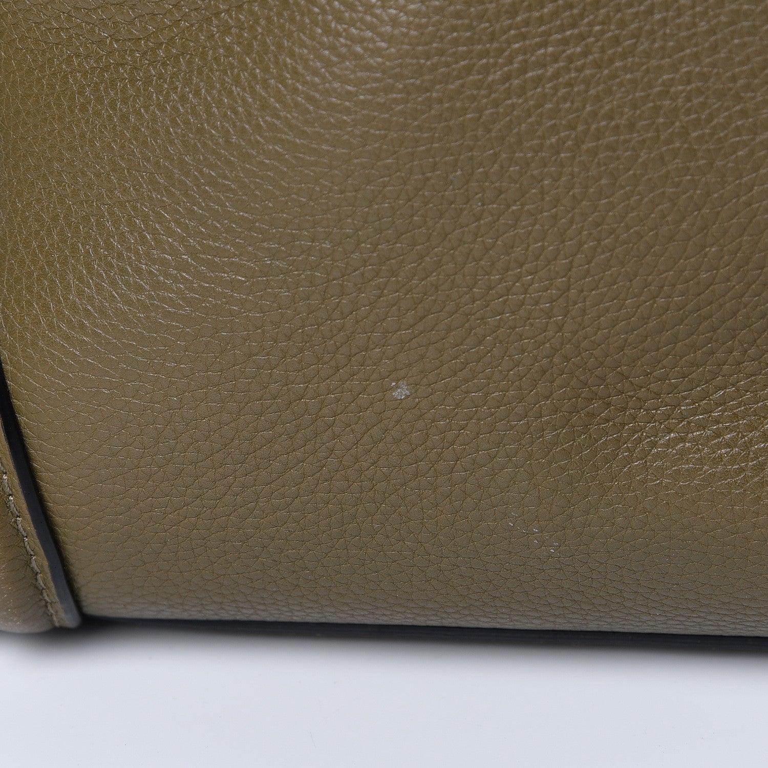 Celine Drummed Calfskin Mini Jungle 17 of 18