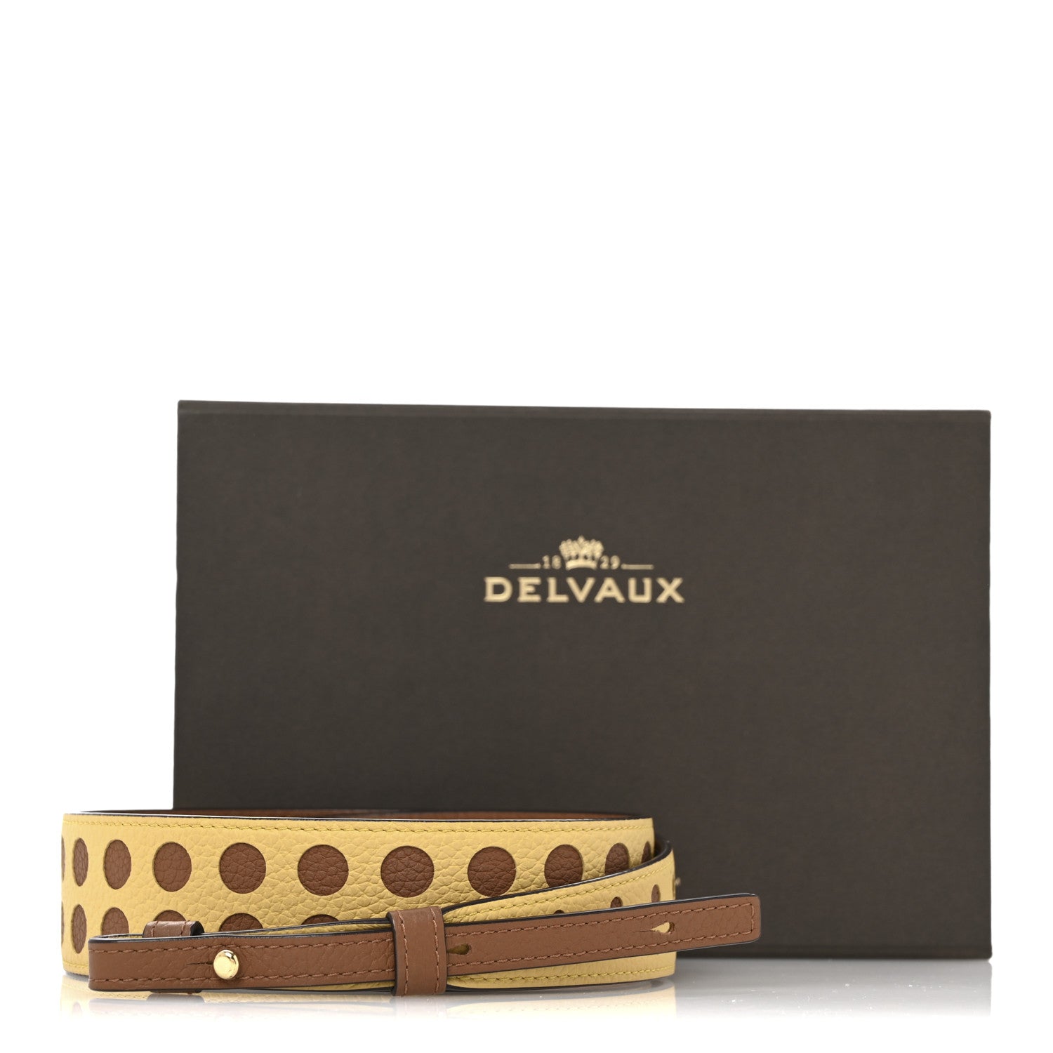 Delvaux Grained Calfskin Adjustable Strap Vegetal Ivory Yellow 5 of 5