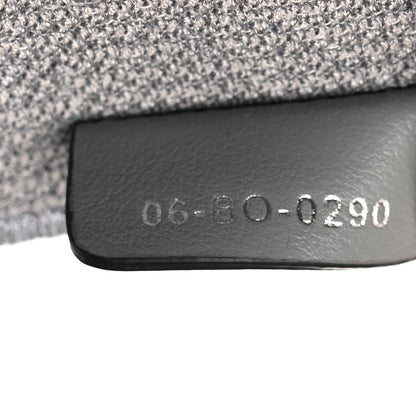 Christian Dior Oblique Diortravel Vanity Case Grey 8 of 14