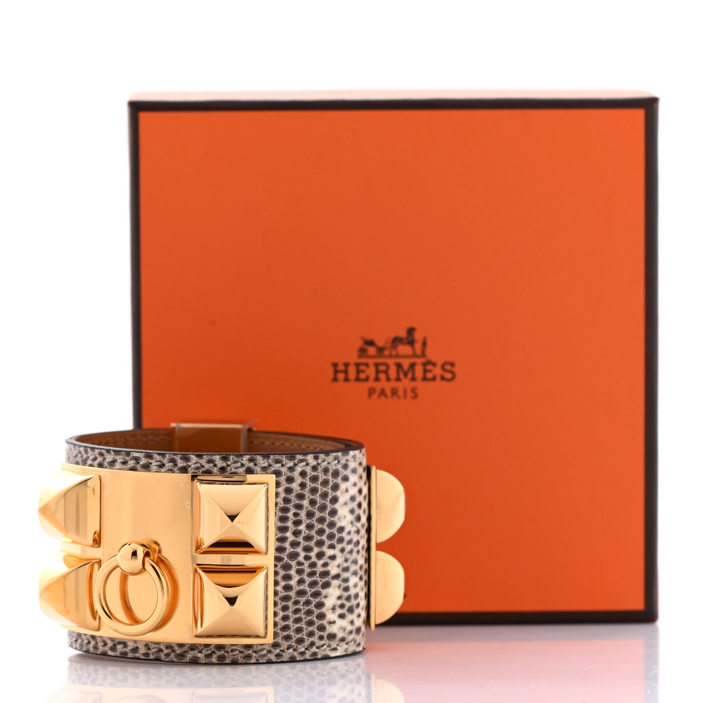 Lizard Collier De Chien CDC Bracelet T2 Ombre