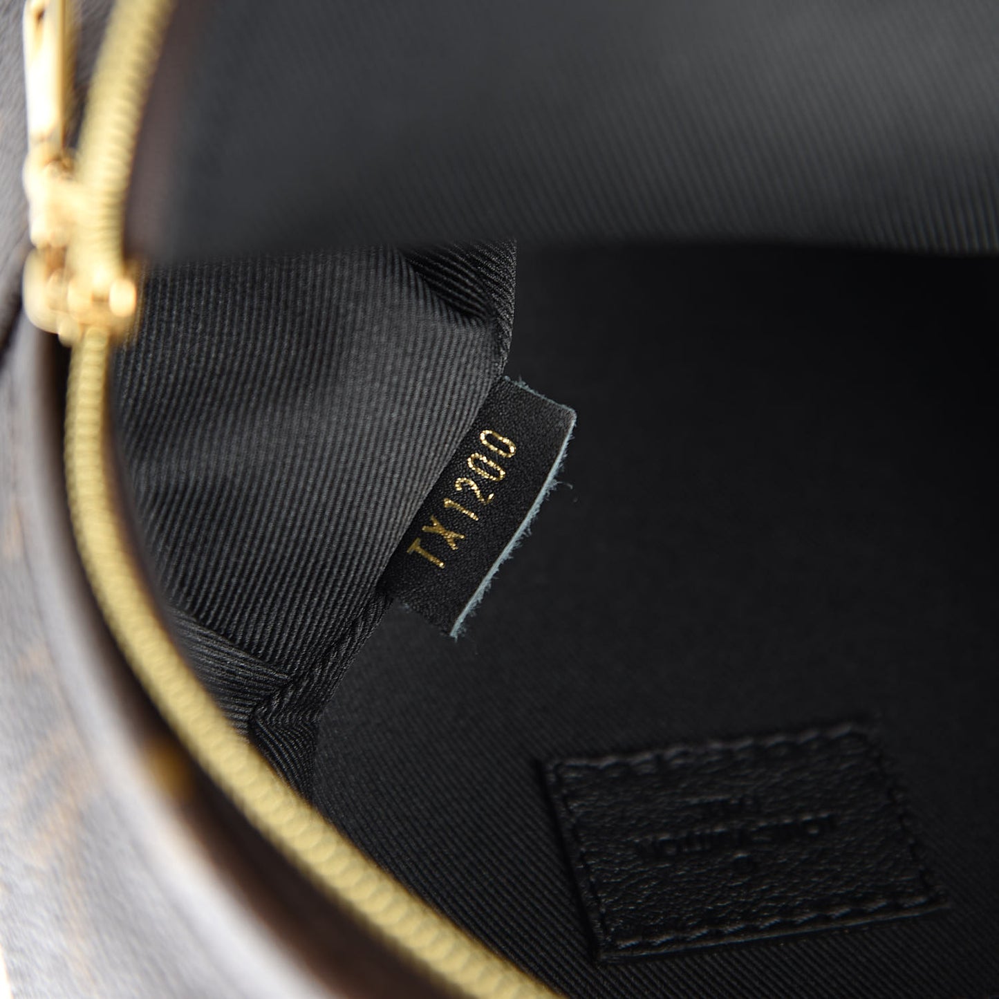 Monogram Palm Springs Backpack Mini