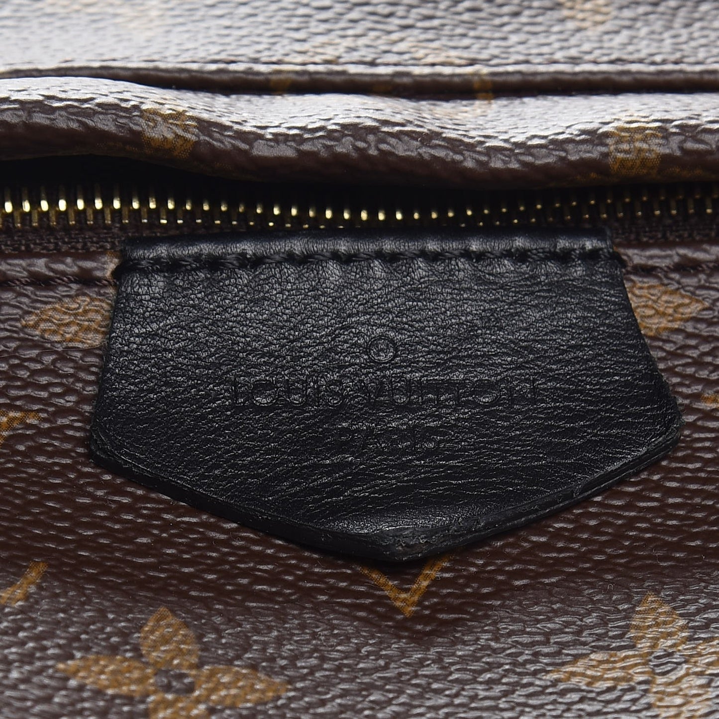 Monogram Palm Springs Backpack MM