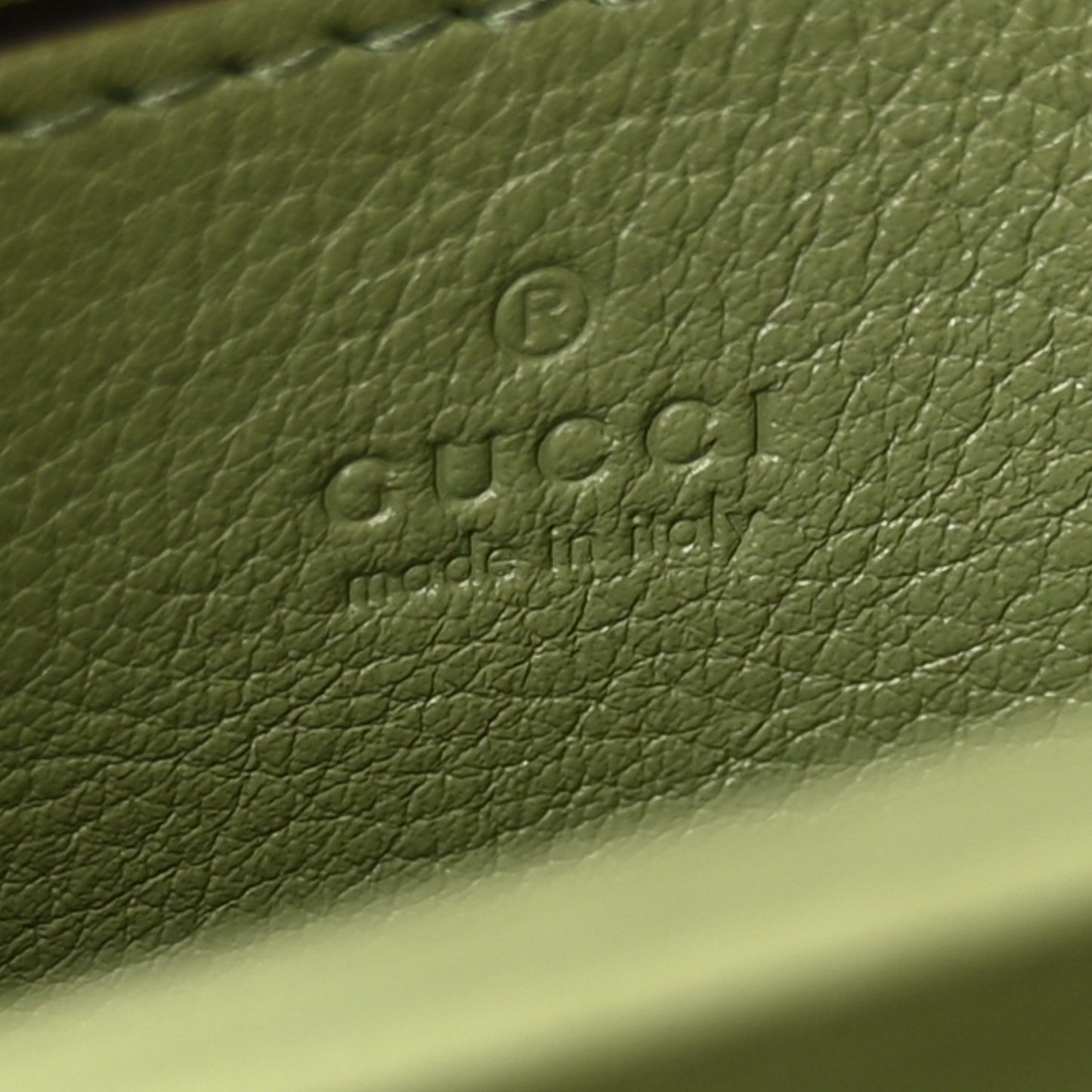 Roxy Calfskin Web Mini Blondie Shoulder Bag Salamander Green