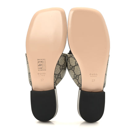 Gucci GG Supreme Monogram Malaga Kid Blondie Thong Sandals 37 Beige Ebony New Acero 5 of 8