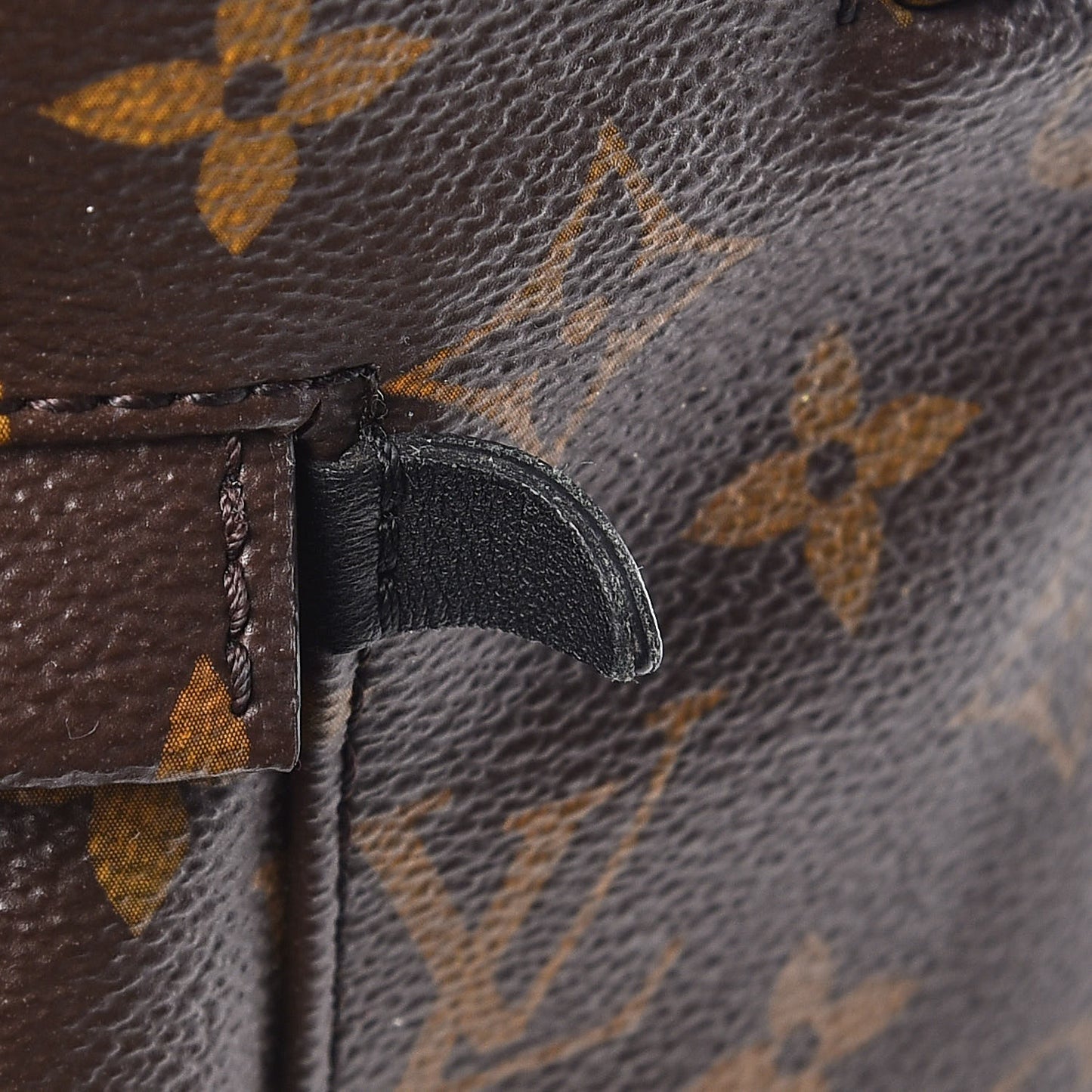 Monogram Palm Springs Backpack MM
