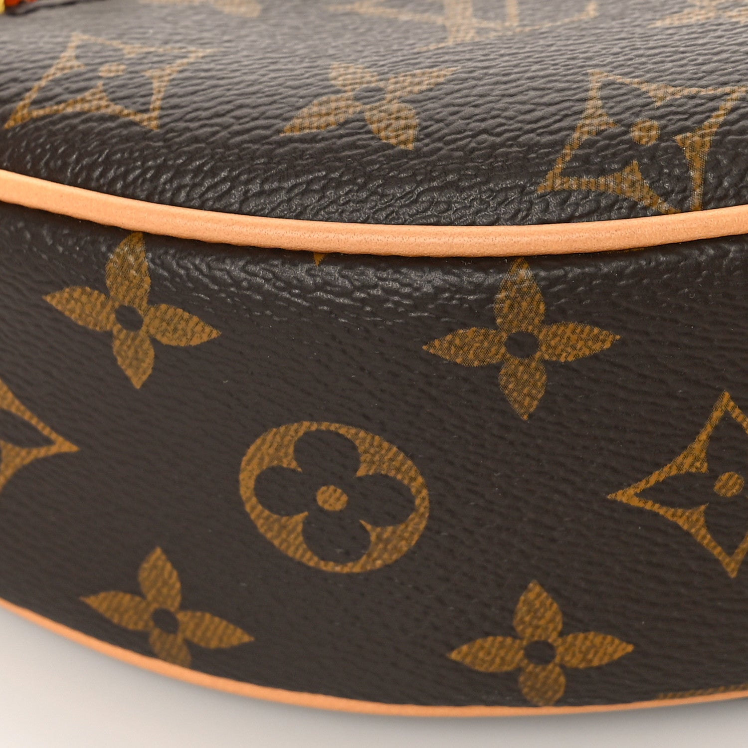 Louis Vuitton Monogram Loop 7 of 9